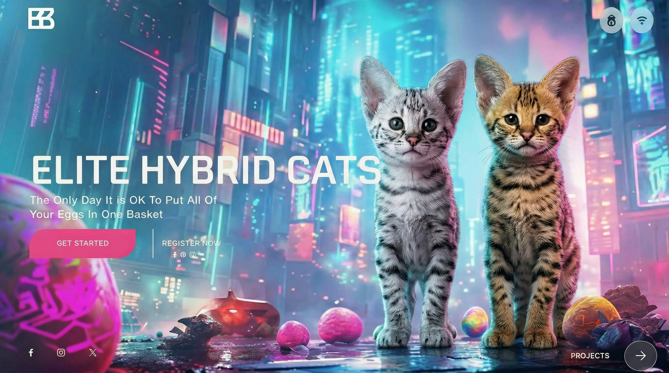 Elite Hybrid Cats